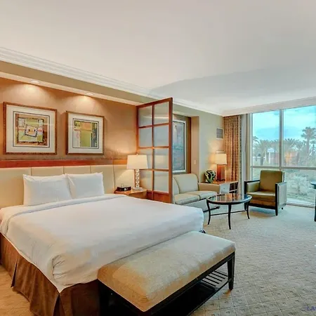 Mgm Signature 02-704 Jacuzzi Studio